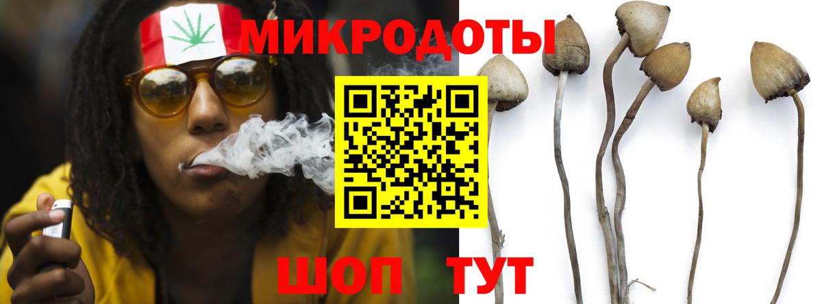 Электросталь  Псилоцибиновые грибы Psilocybe  Вход с VPN 
